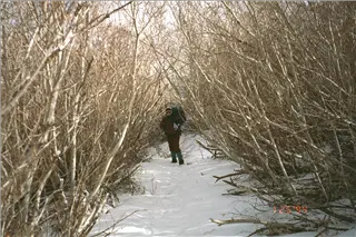 small_9400 1256 co maroon utIMG0019.webp